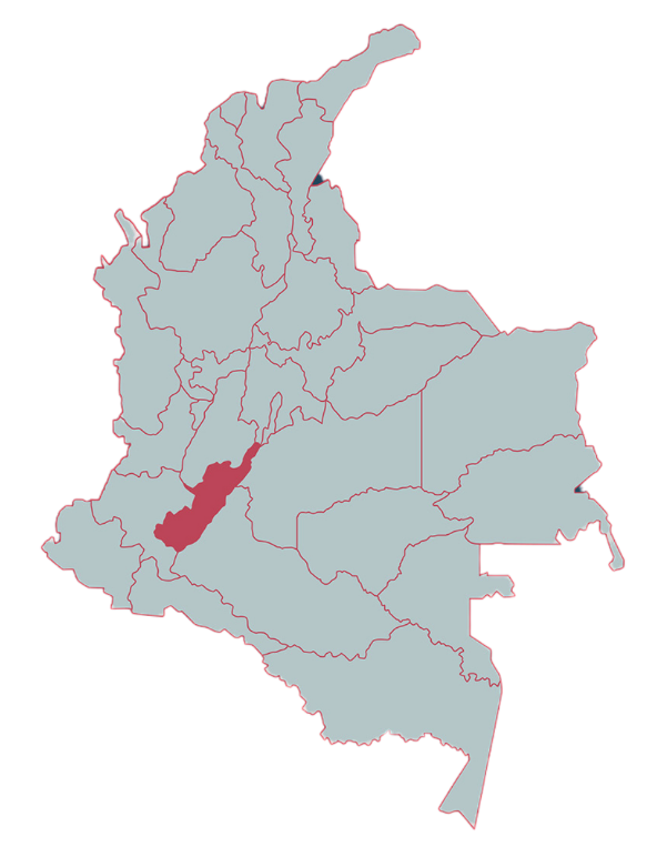 San Vicente, Specialty Colombian Coffee – La Mulita Coffee