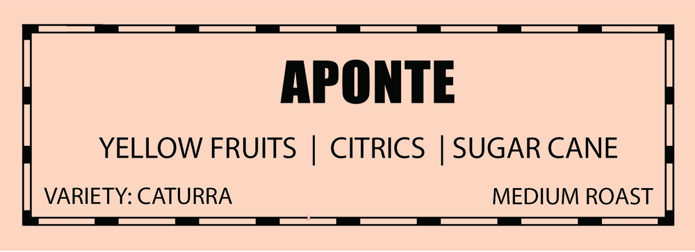 Aponte