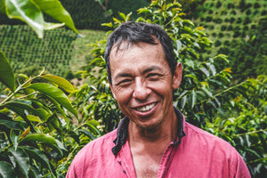 
            
                Load image into Gallery viewer, Miller Sarmiento, coffee farmer in Huila, Colombia
            
        