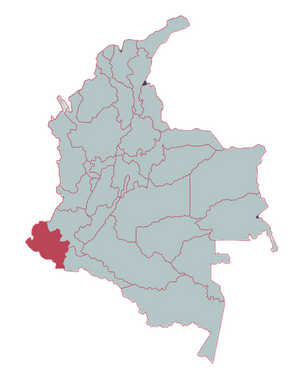 Nariño province is in the southwestern Colombia bordering Ecuador. This coffee growing region includes active volcanoes and much precipitous terrain. Nariño coffee is distinguished for its smooth body and nutty flavor.