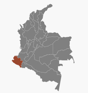 Narino province is in the southwestern Colombia bordering Ecuador. This coffee growing region includes active volcanoes and much precipitous terrain. Narino coffee is distinguished for its smooth body and nutty flavor.